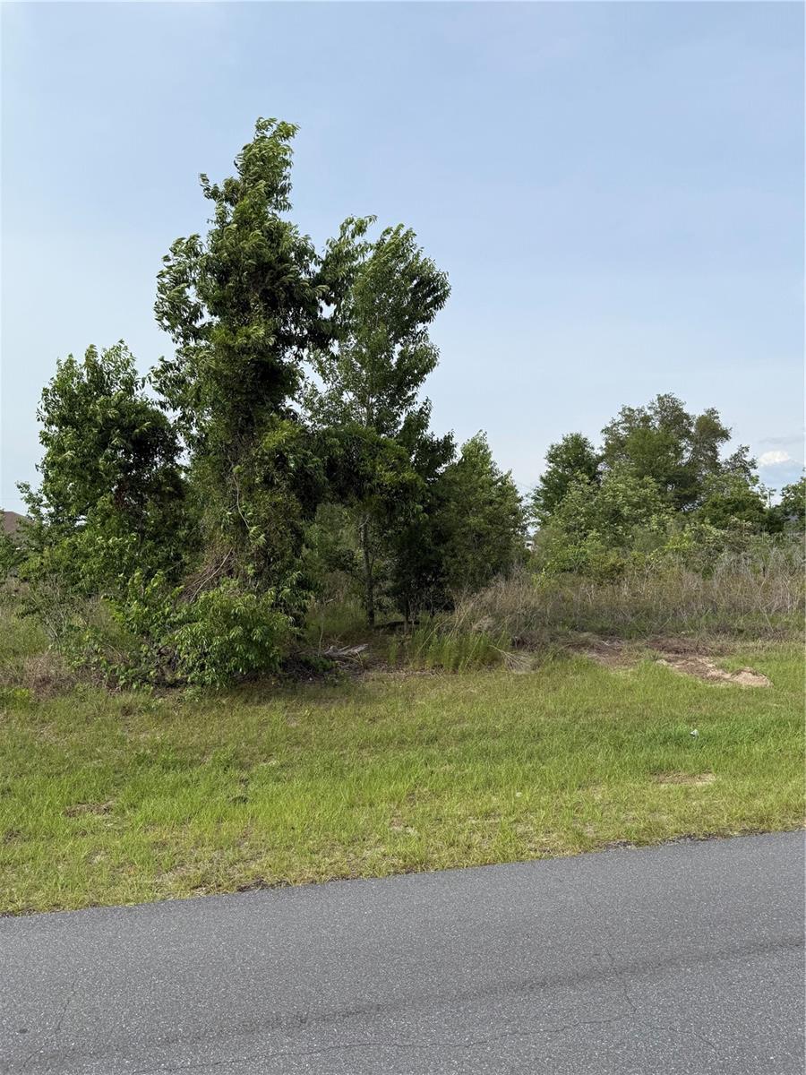 TBD SW 129TH LANE, OCALA, FL, 34473