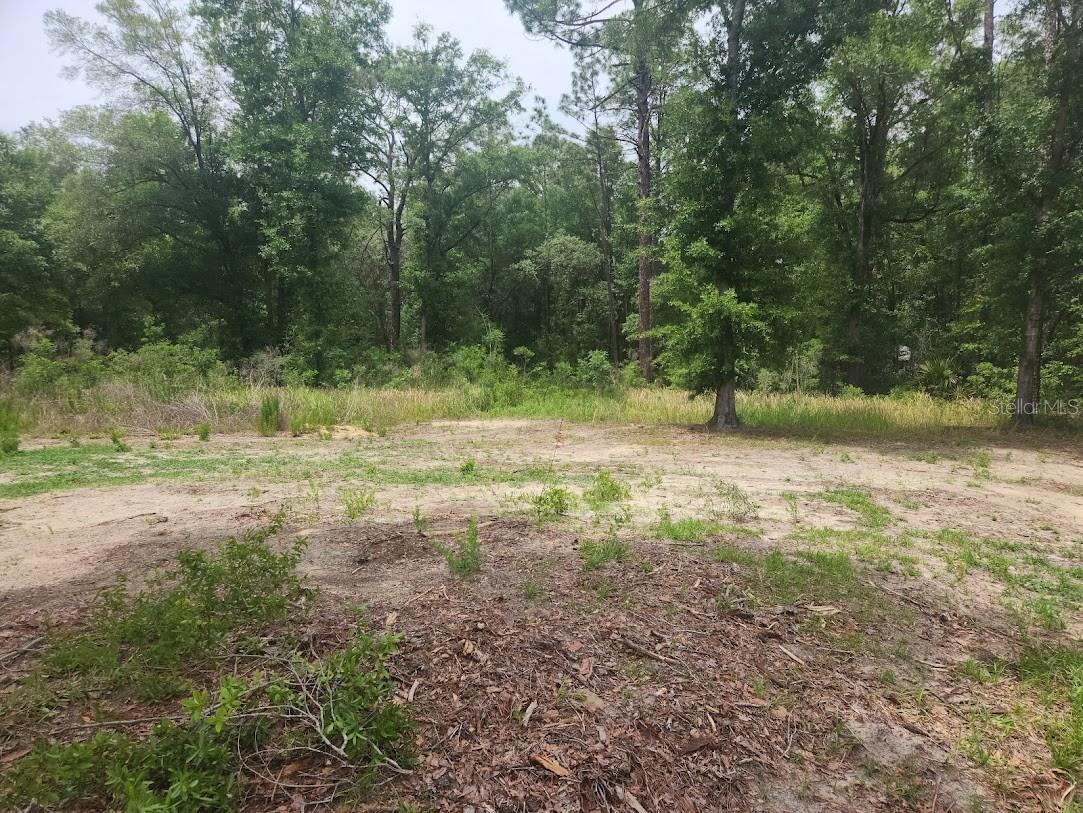 Lot 10 SW 134 TER, OCALA, FL, 34481