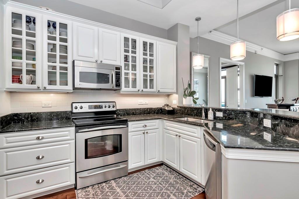 275 BAYSHORE BLVD #1708, TAMPA, FL, 33606