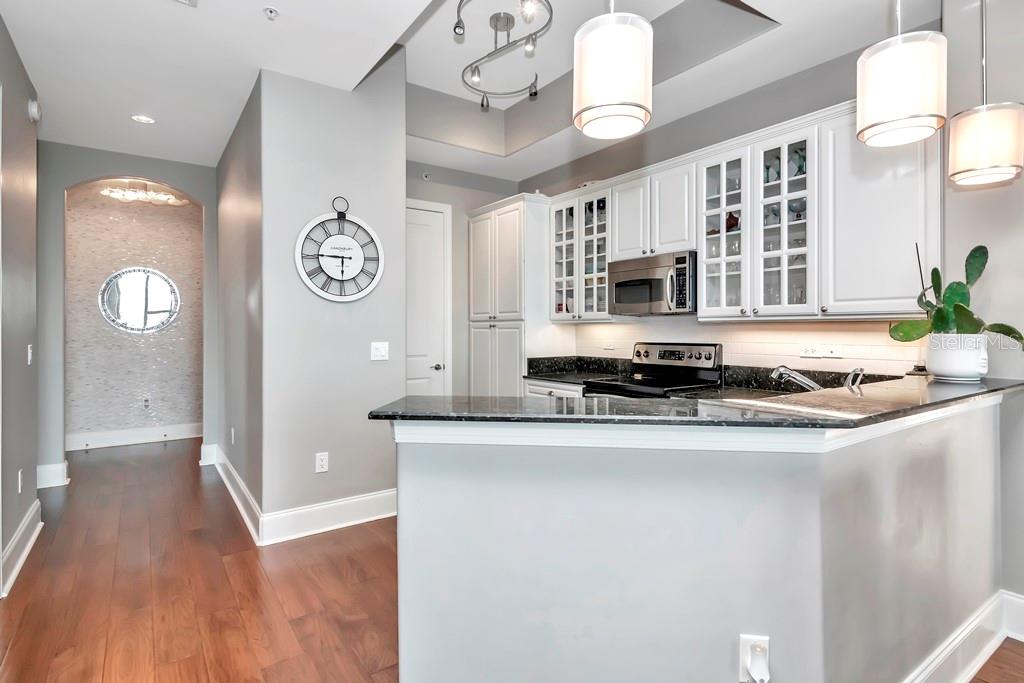 275 BAYSHORE BLVD #1708, TAMPA, FL, 33606