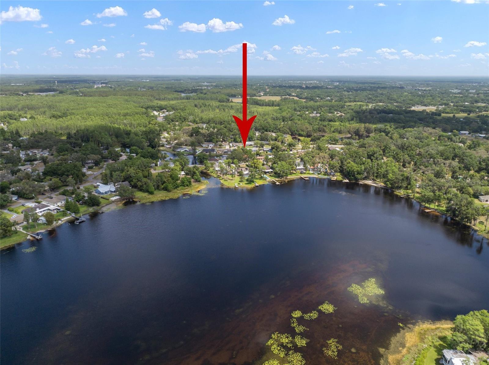 18712 LAKESHORE DR, LUTZ, FL, 33549