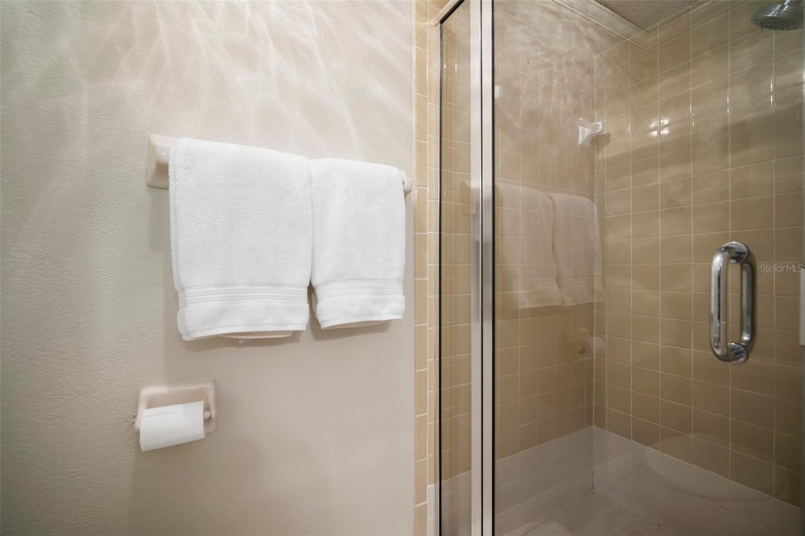 18712 LAKESHORE DR, LUTZ, FL, 33549