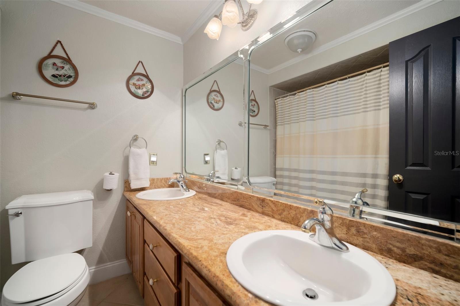 18712 LAKESHORE DR, LUTZ, FL, 33549