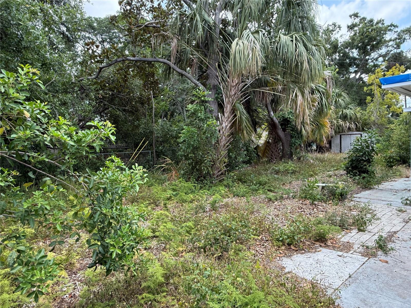 6715 16TH ST N, ST PETERSBURG, FL, 33702