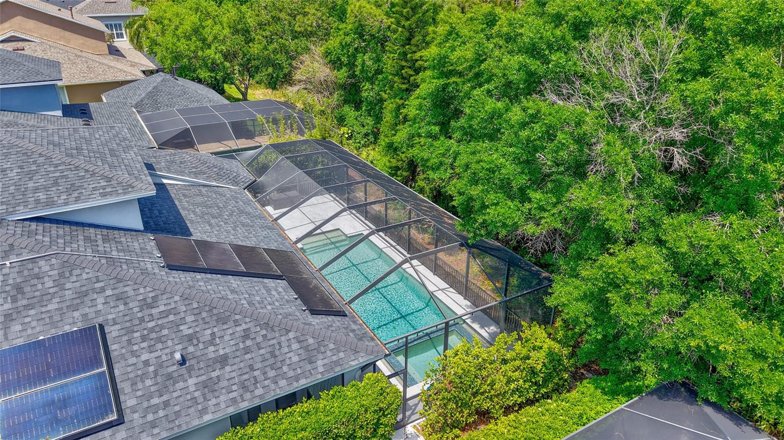 14627 TUDOR CHASE DR, TAMPA, FL, 33626