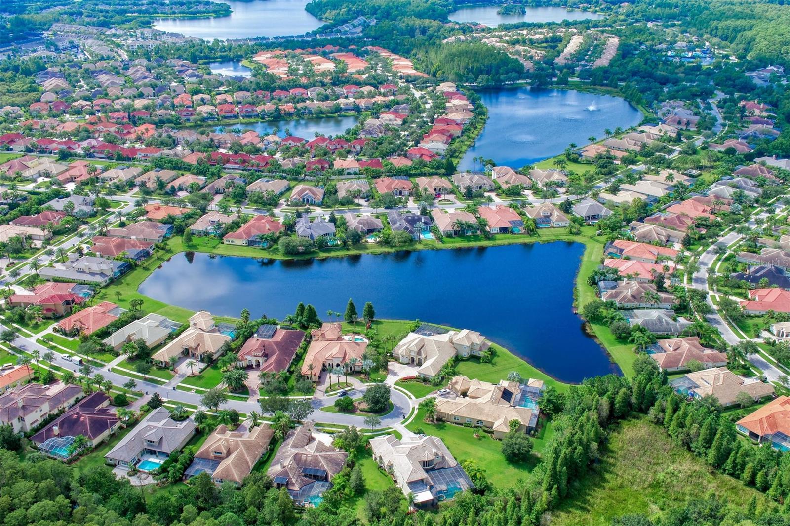 14627 TUDOR CHASE DR, TAMPA, FL, 33626