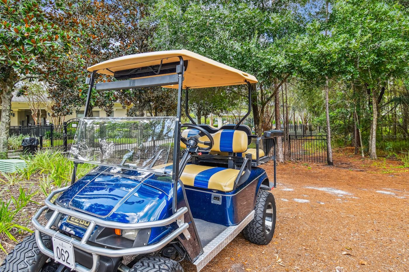 14627 TUDOR CHASE DR, TAMPA, FL, 33626