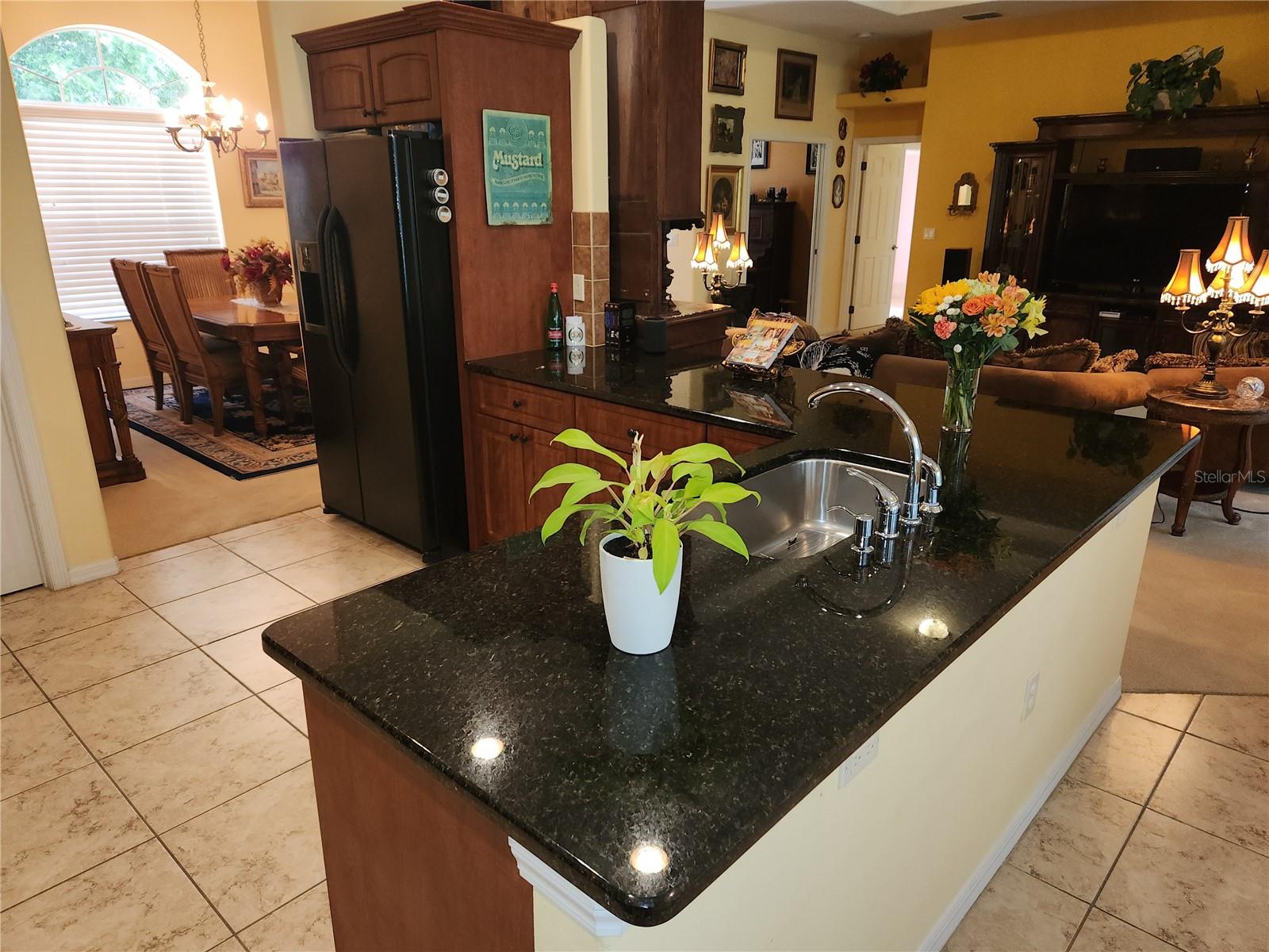 12270 CLARENDON CT, SPRING HILL, FL, 34609