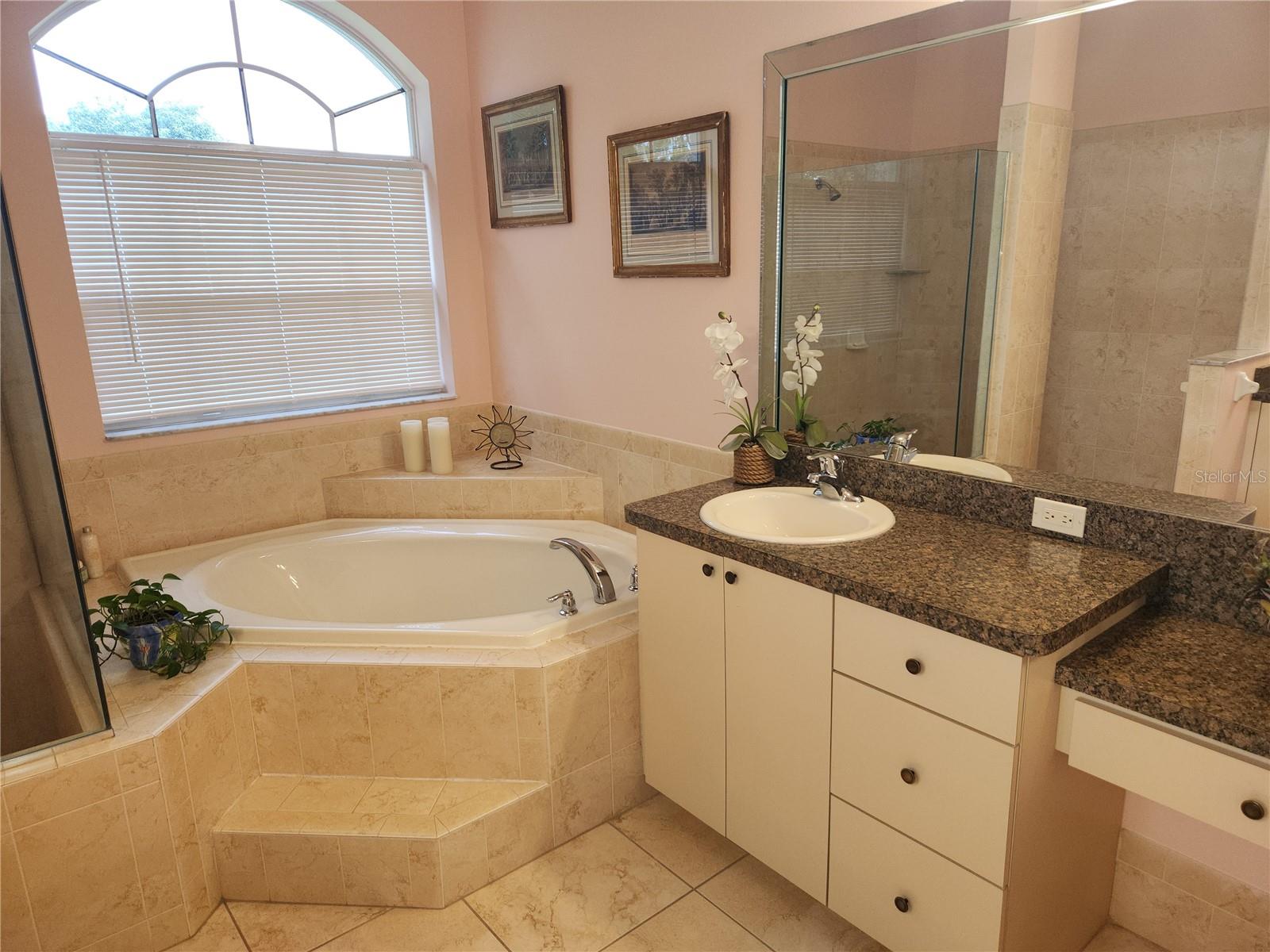 12270 CLARENDON CT, SPRING HILL, FL, 34609