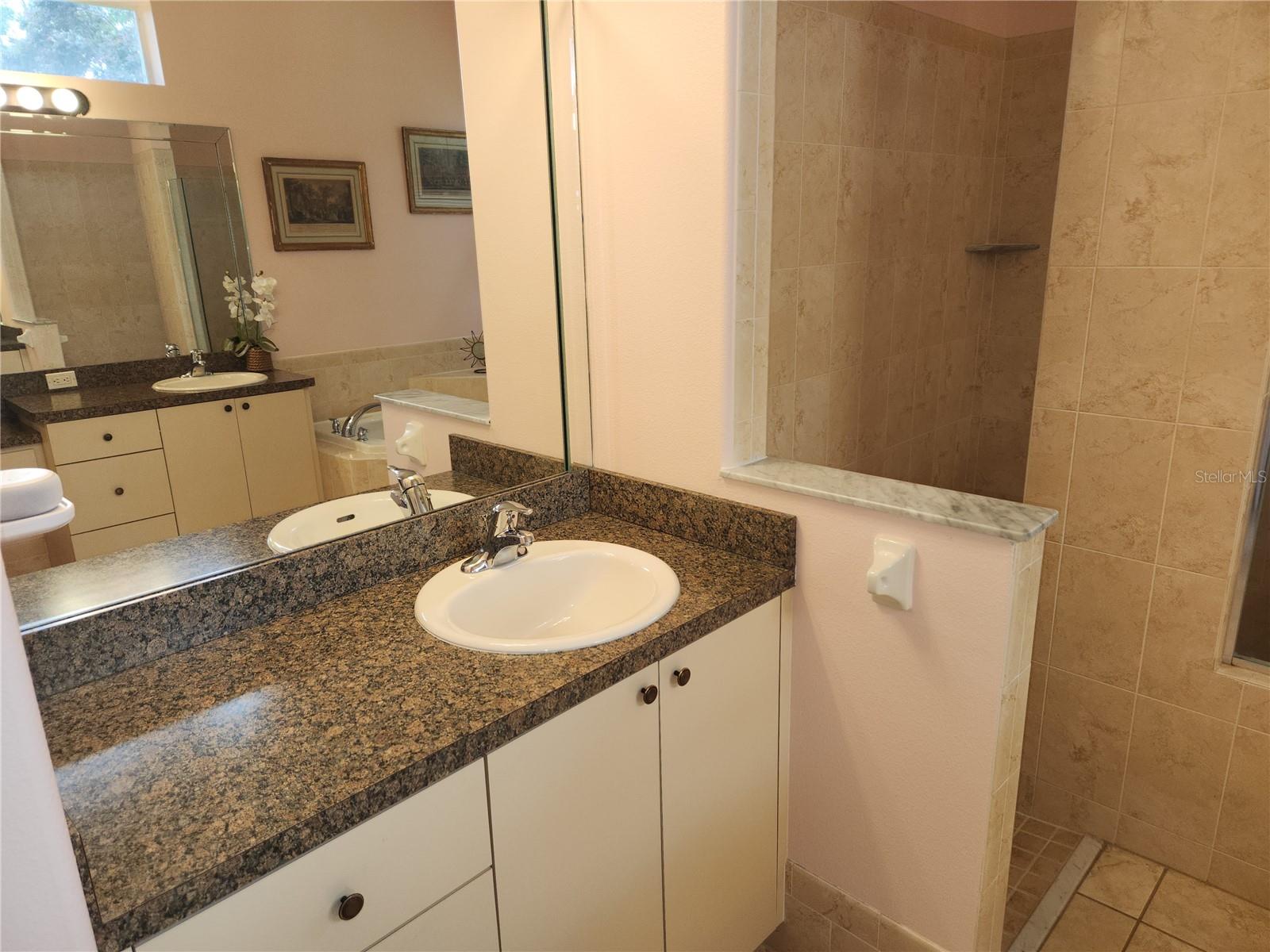 12270 CLARENDON CT, SPRING HILL, FL, 34609