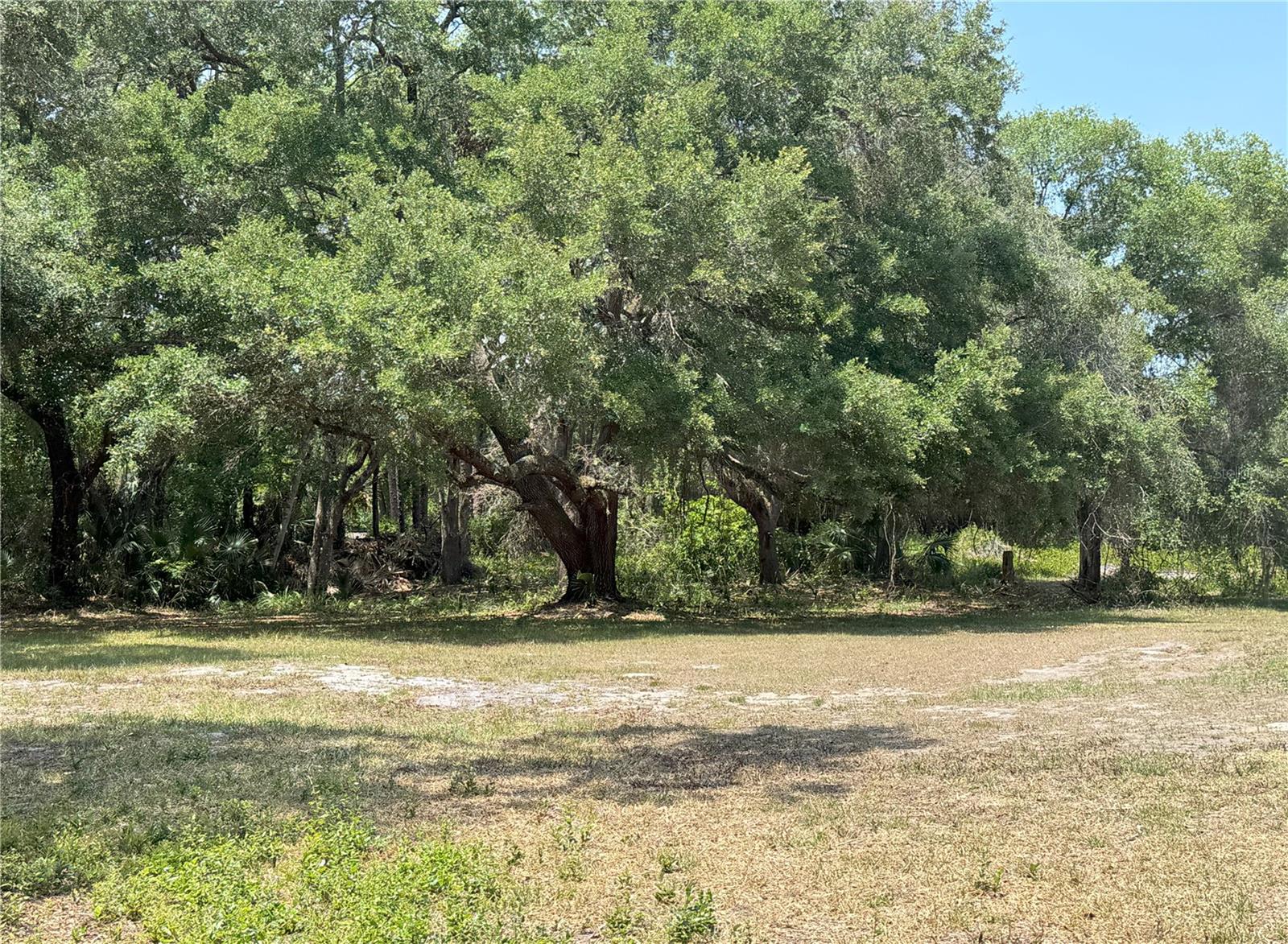 486 S US HIGHWAY 1 #486 & 470, OAK HILL, FL, 32759