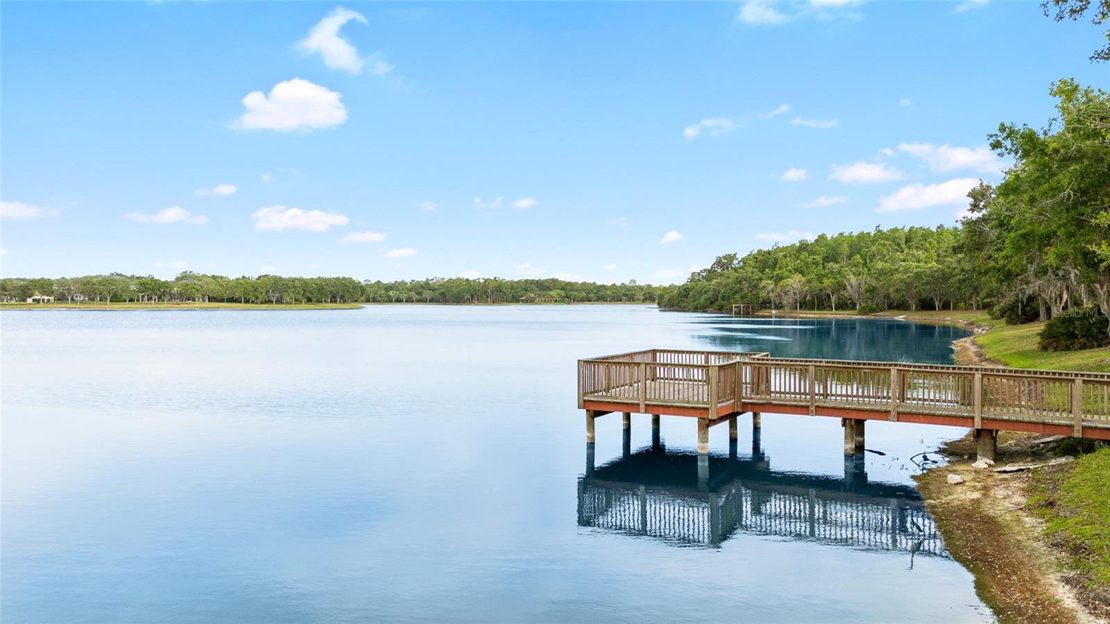 14648 BOURNEMOUTH RD, TAMPA, FL, 33626