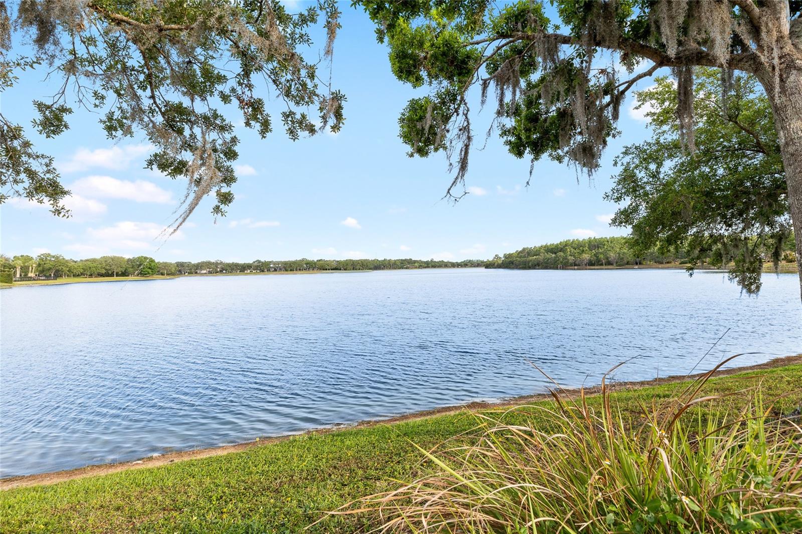 14648 BOURNEMOUTH RD, TAMPA, FL, 33626