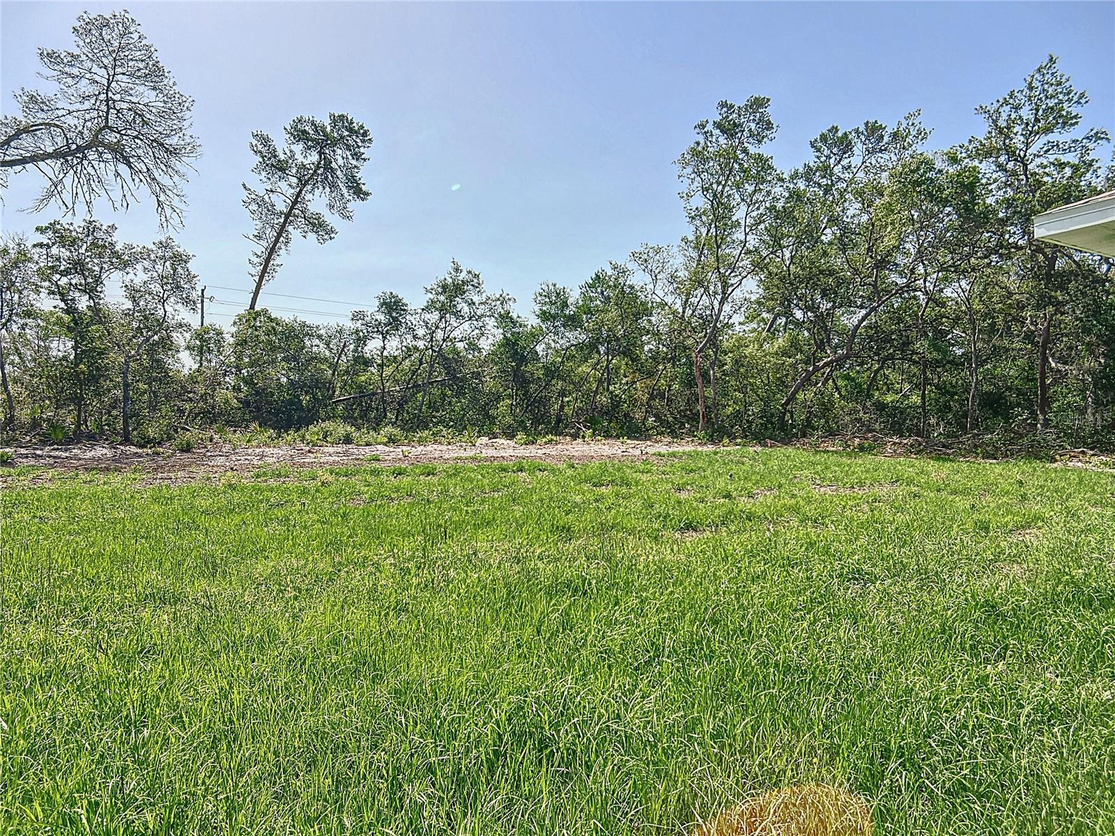 16253 SW 29TH COURT RD, OCALA, FL, 34473