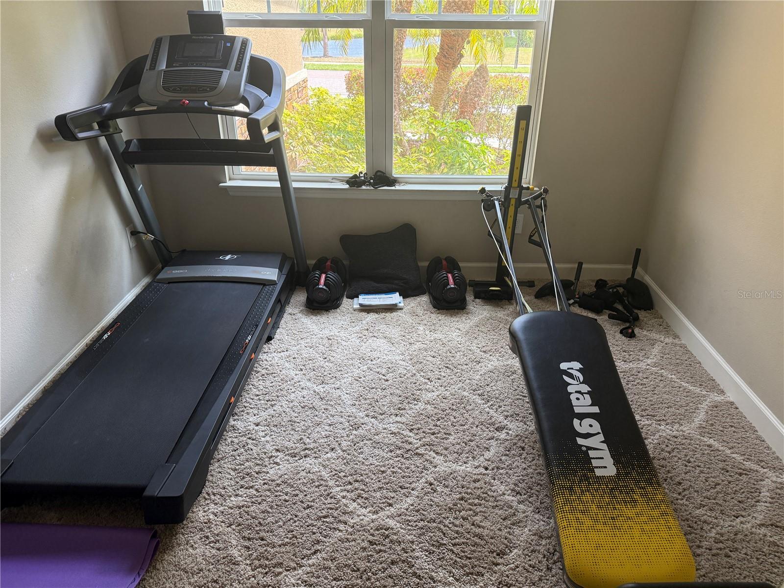 6006 ANISE DR, SARASOTA, FL, 34238