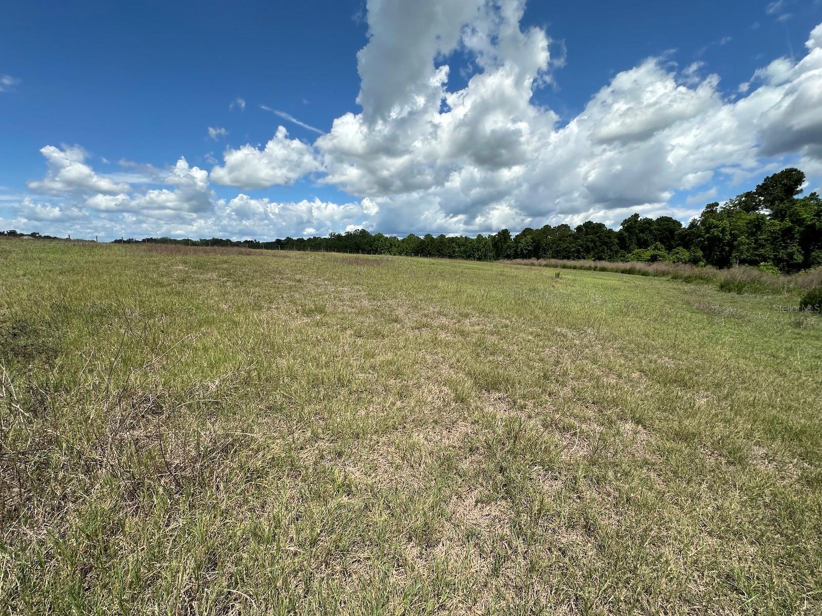 TBD NE 240TH ST, FORT MC COY, FL, 32134