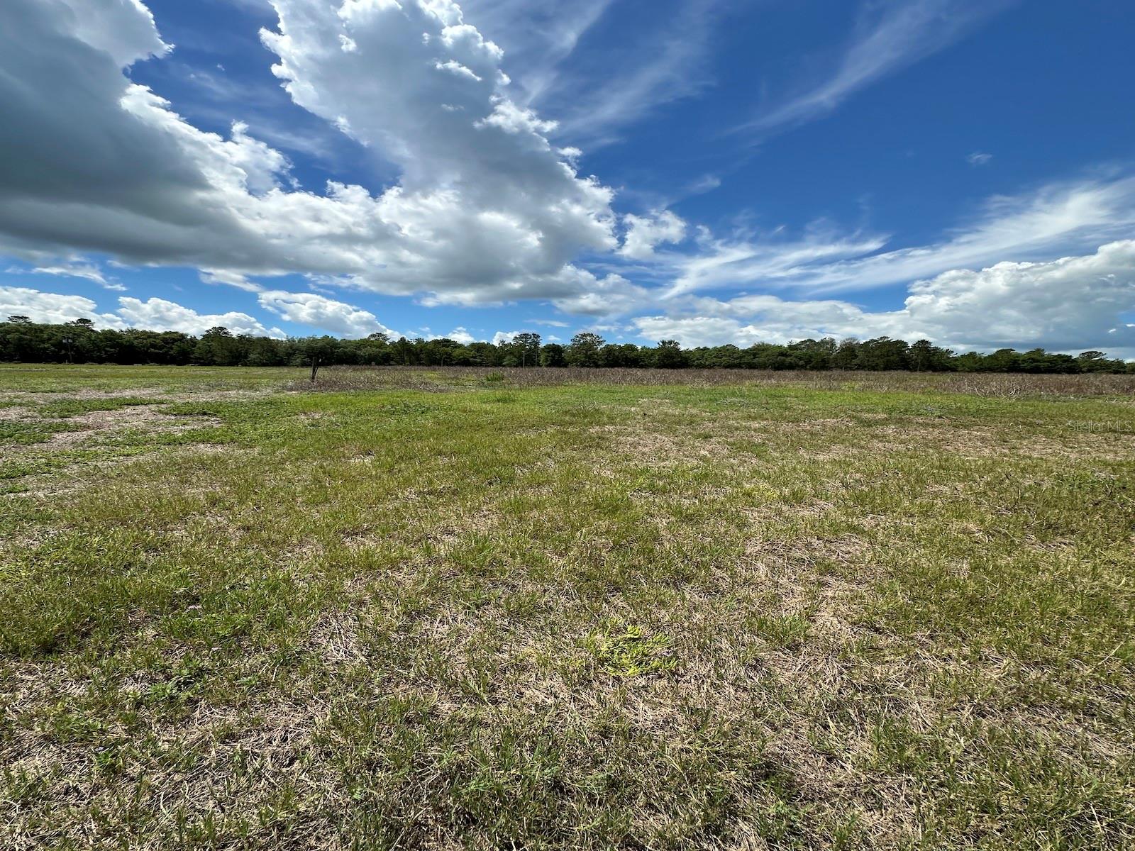 TBD NE 240TH ST, FORT MC COY, FL, 32134
