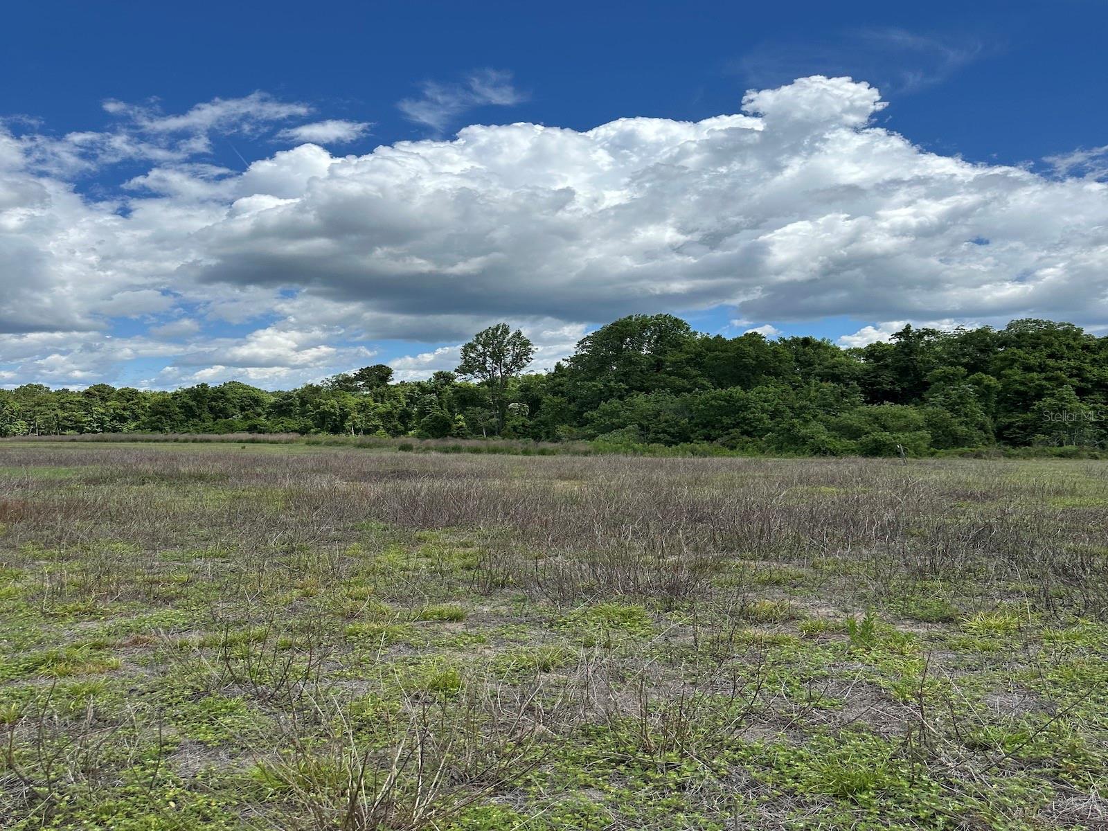 TBD NE 240TH ST, FORT MC COY, FL, 32134