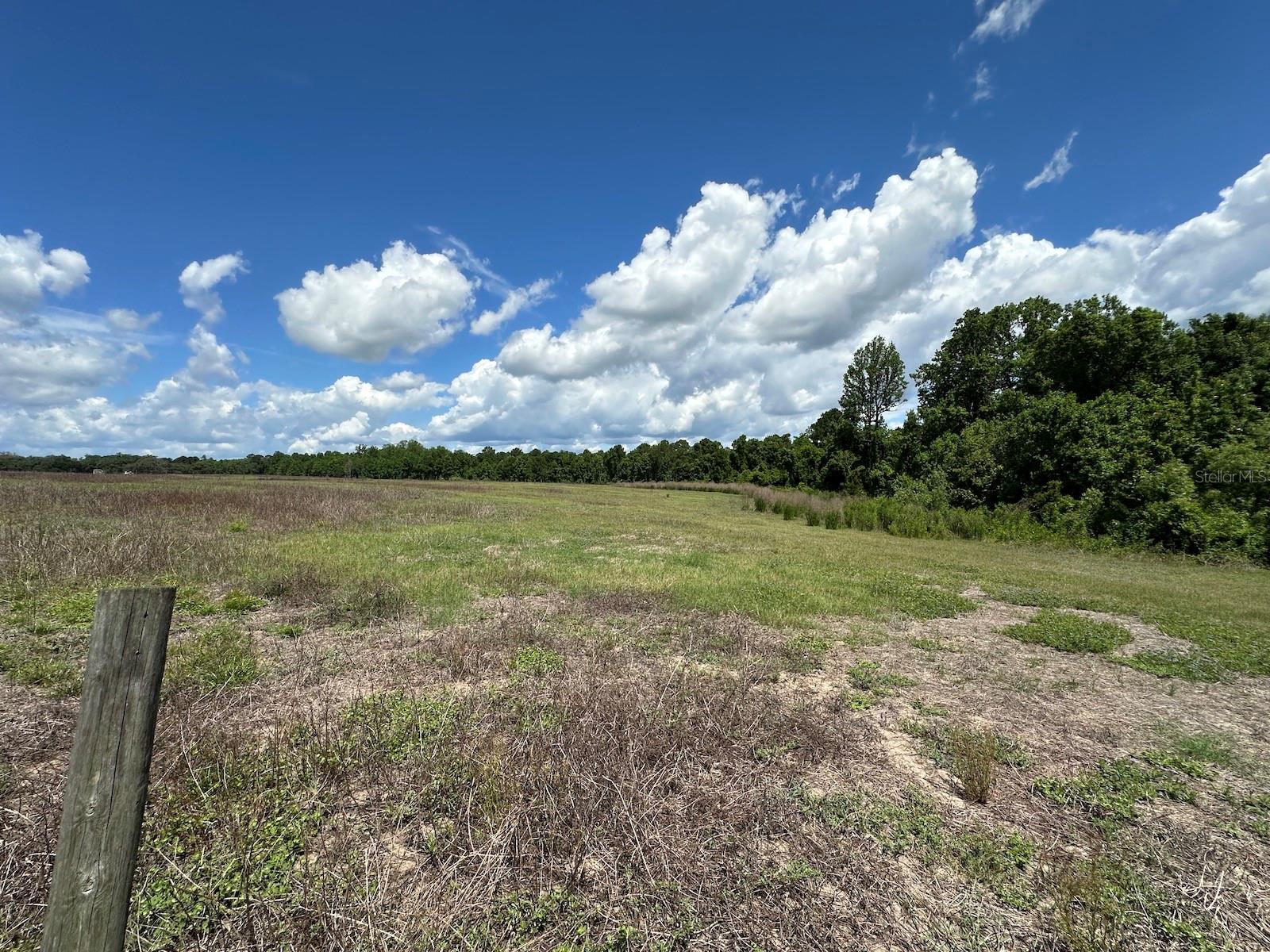 TBD NE 240TH ST, FORT MC COY, FL, 32134