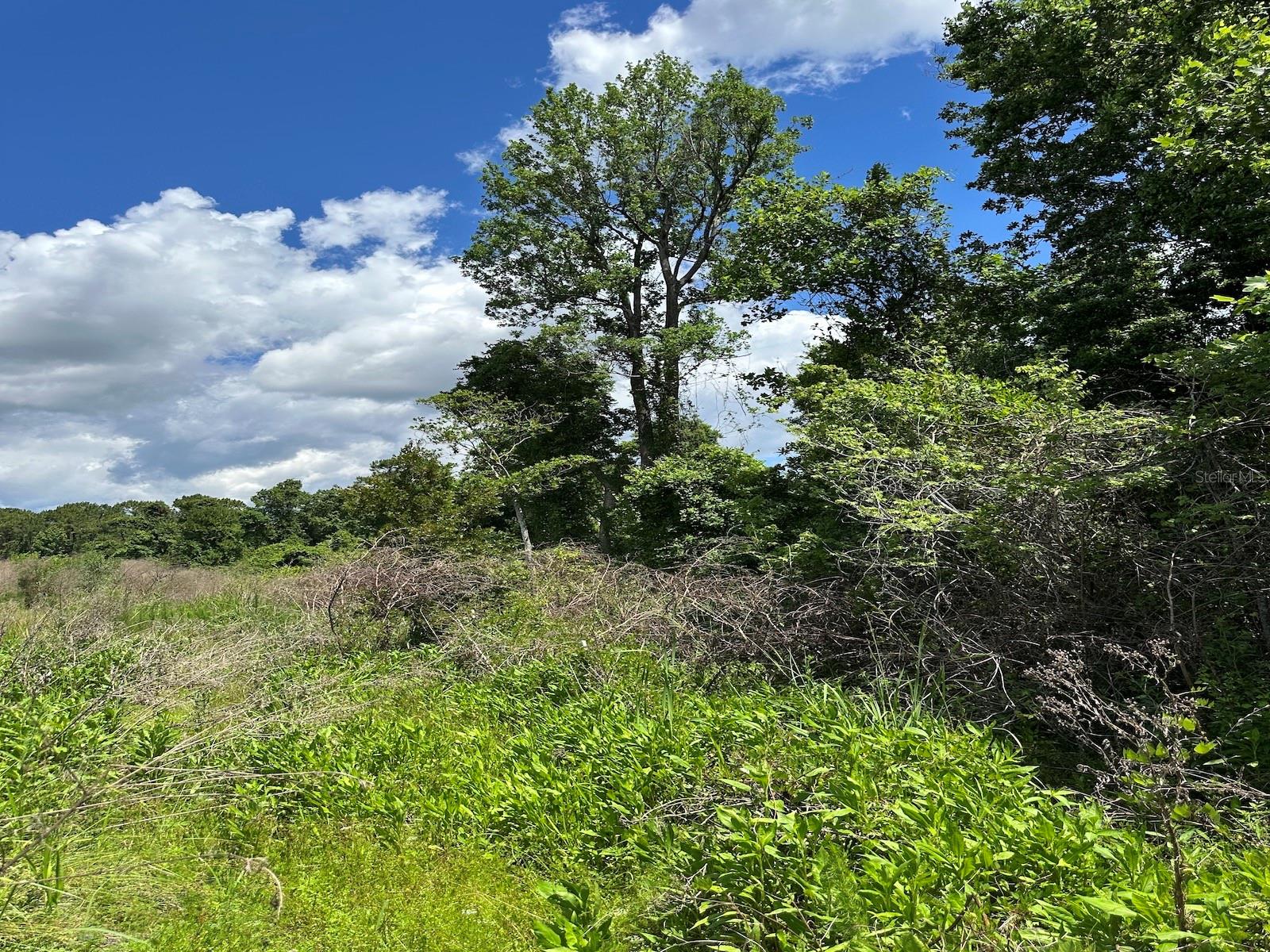 TBD NE 240TH ST, FORT MC COY, FL, 32134