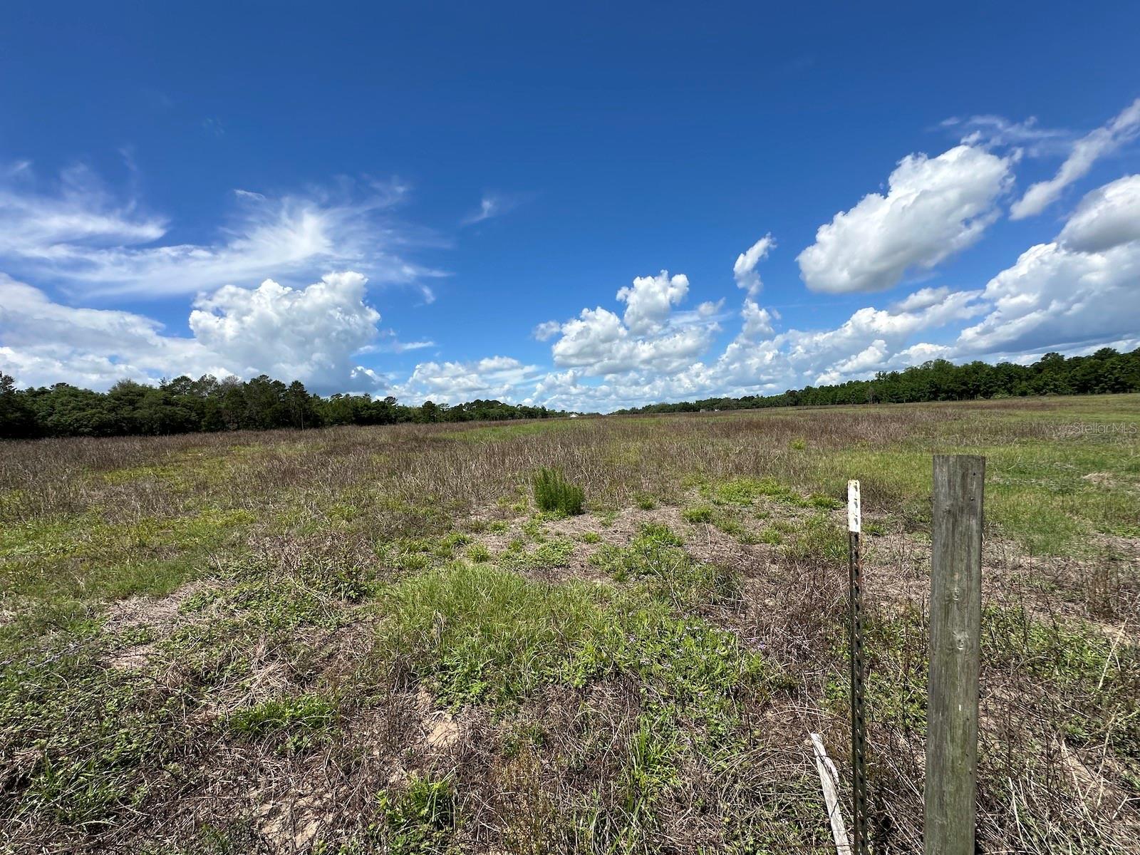 TBD NE 240TH ST, FORT MC COY, FL, 32134