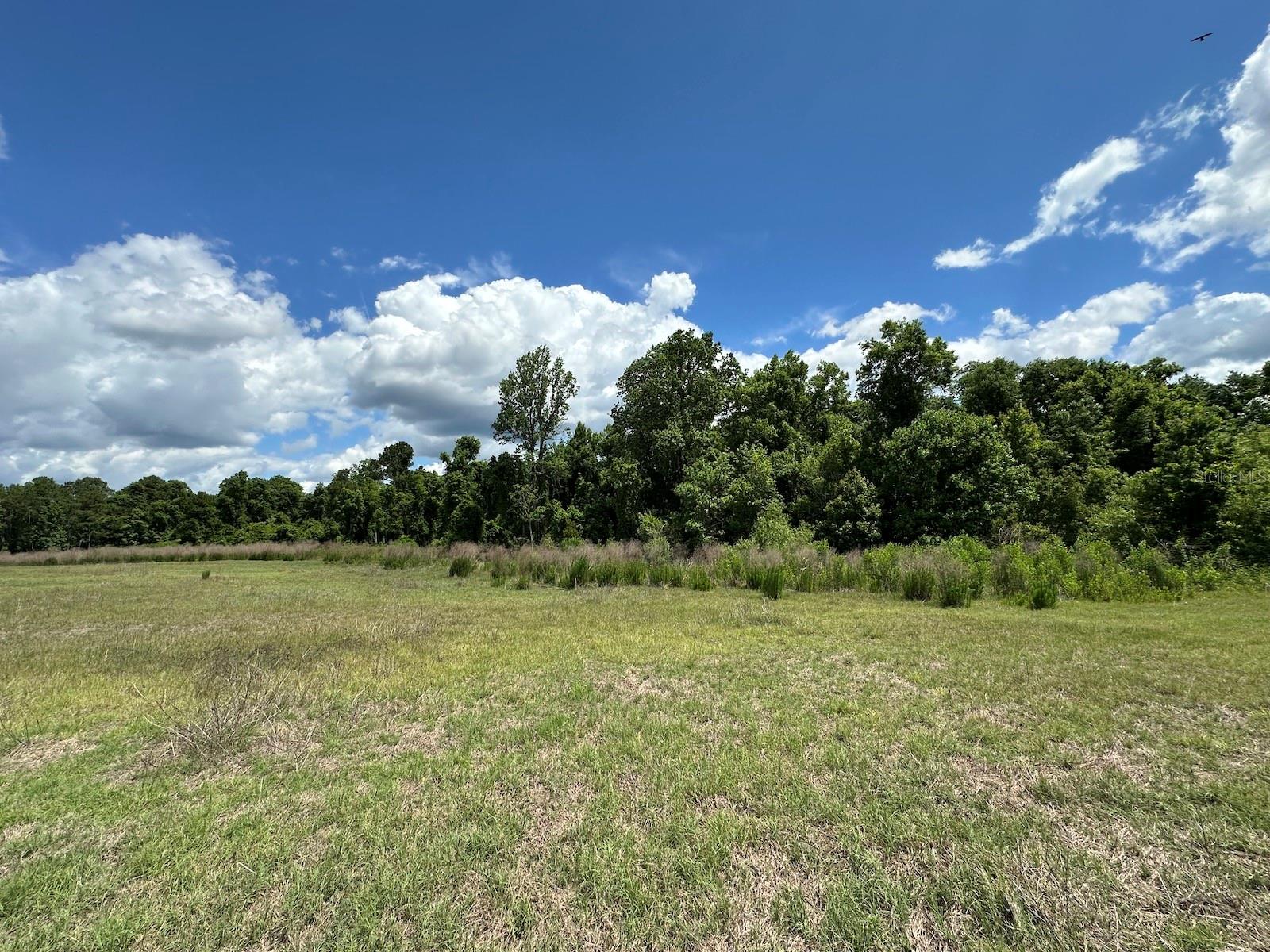 TBD NE 240TH ST, FORT MC COY, FL, 32134