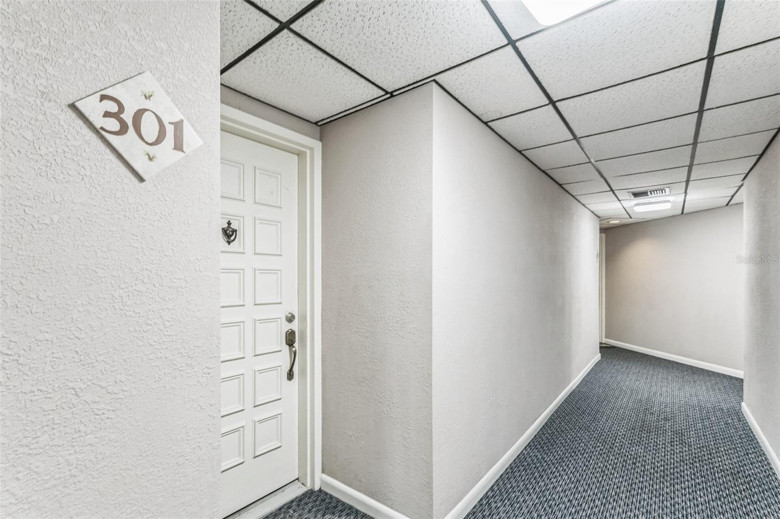 6219 PALMA DEL MAR BLVD S #301, ST PETERSBURG, FL, 33715