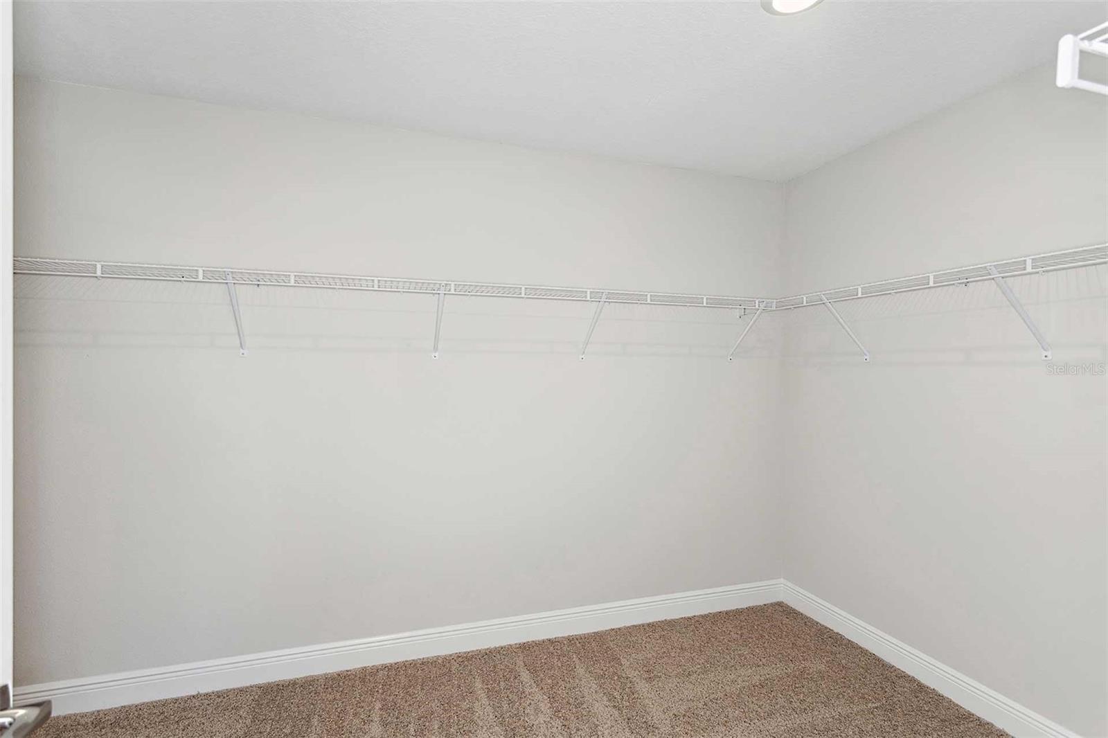 10017 SURREY ROSE DR, SAN ANTONIO, FL, 33576