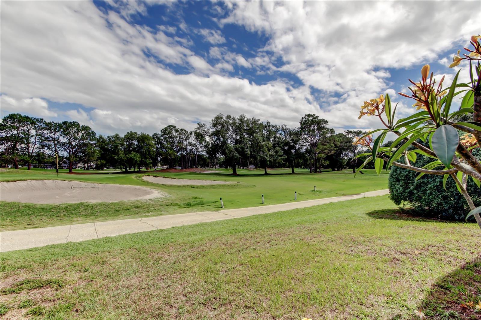 11325 GLENMONT DR, TAMPA, FL, 33635