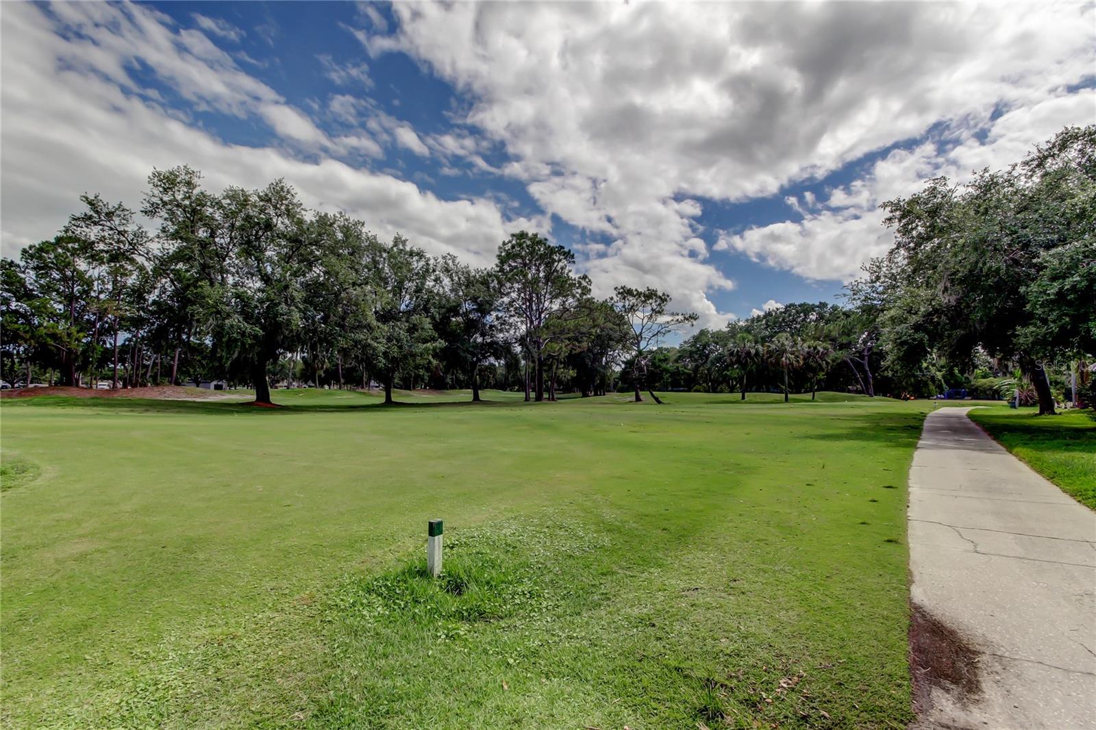 11325 GLENMONT DR, TAMPA, FL, 33635