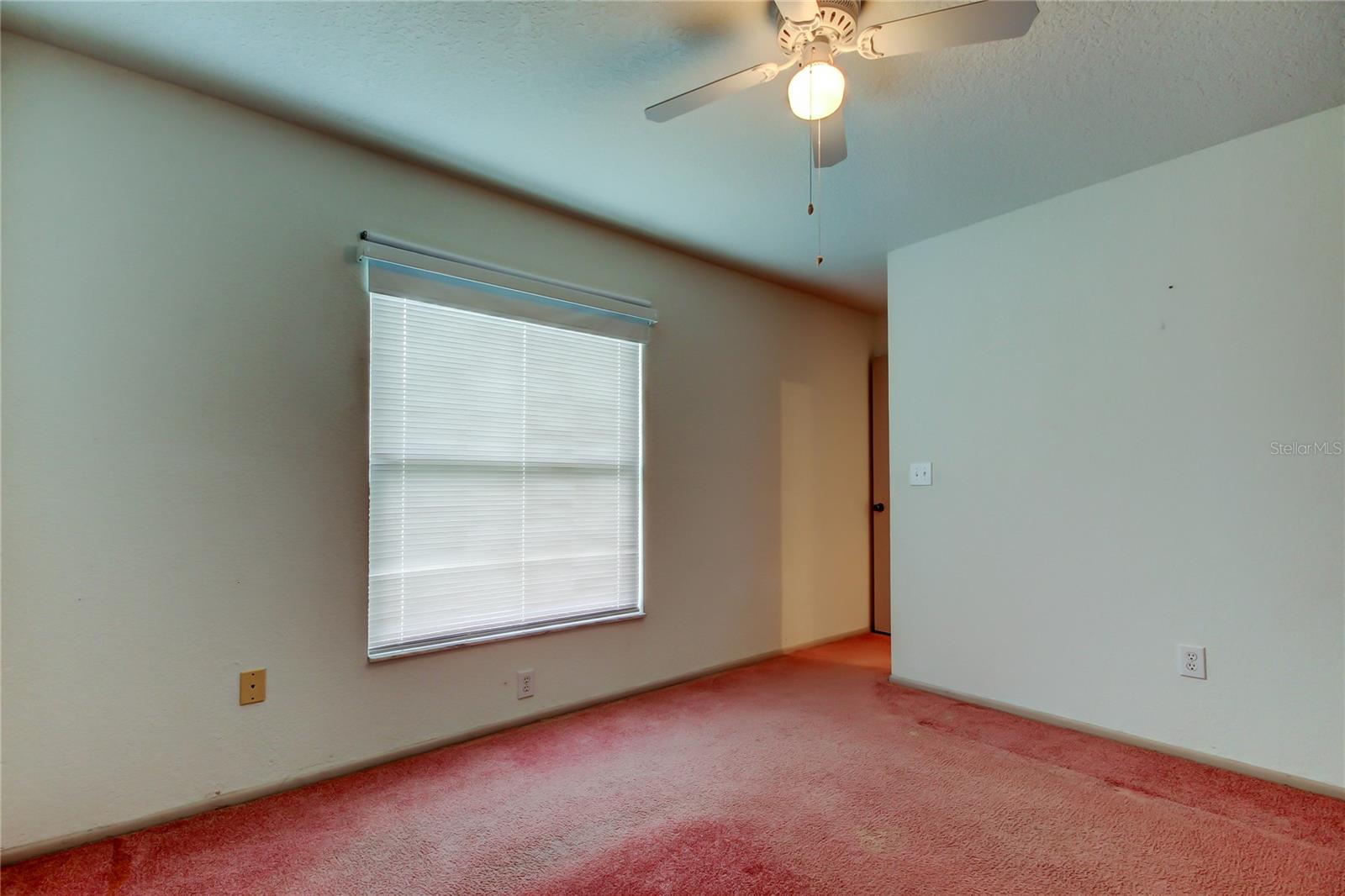 11325 GLENMONT DR, TAMPA, FL, 33635