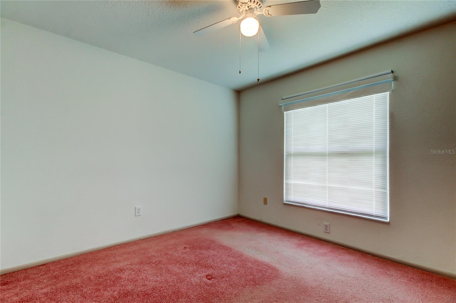 11325 GLENMONT DR, TAMPA, FL, 33635