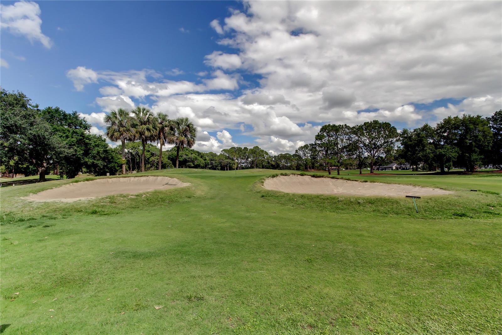 11325 GLENMONT DR, TAMPA, FL, 33635