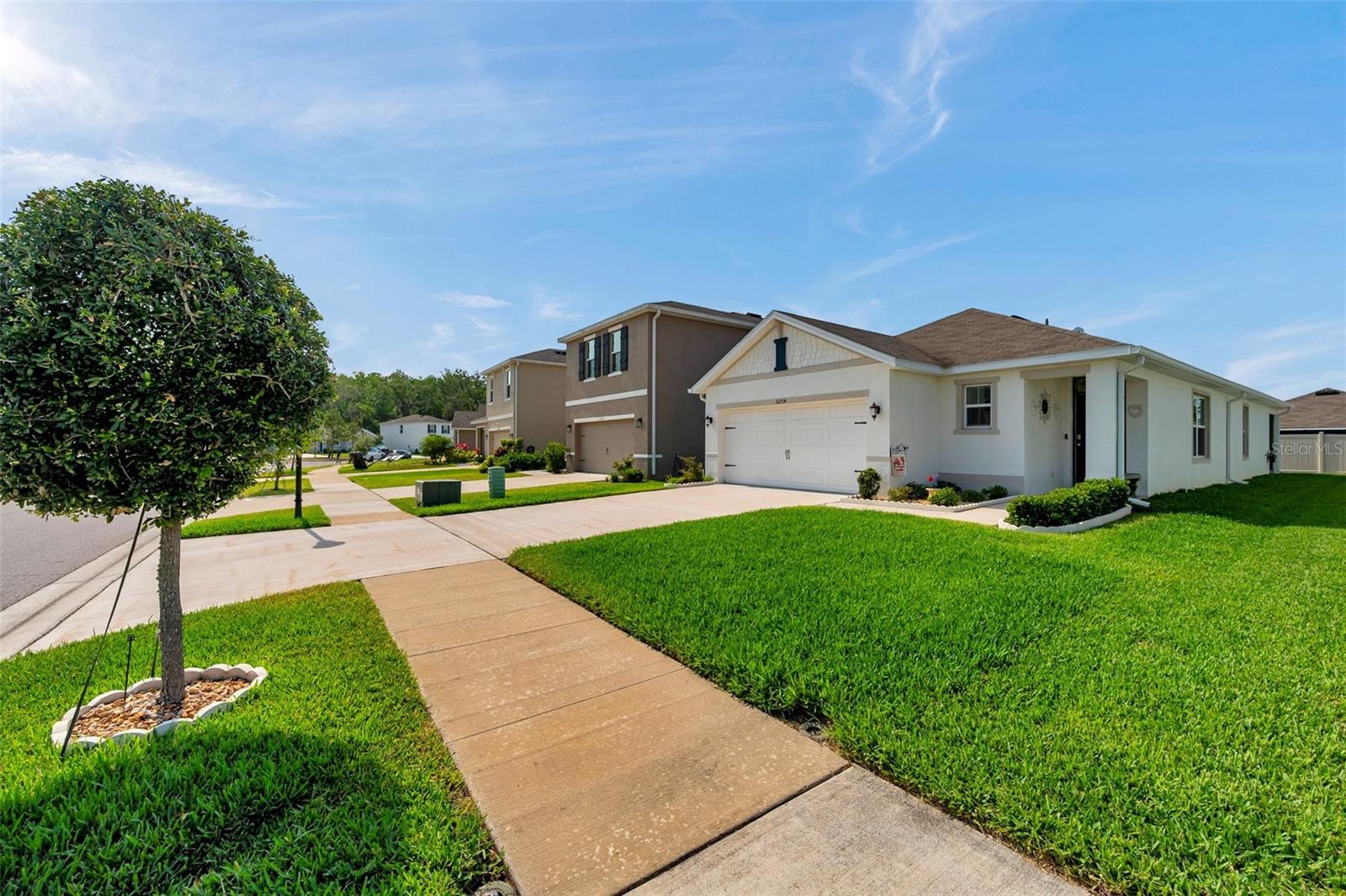 32714 BROOKS HAWK LN, WESLEY CHAPEL, FL, 33543