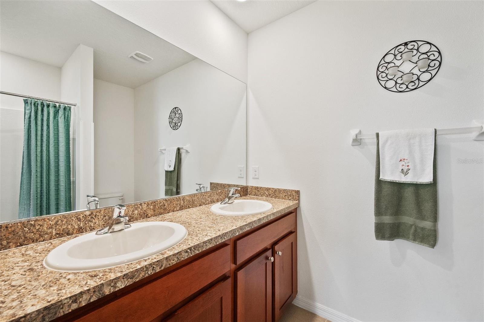 32714 BROOKS HAWK LN, WESLEY CHAPEL, FL, 33543