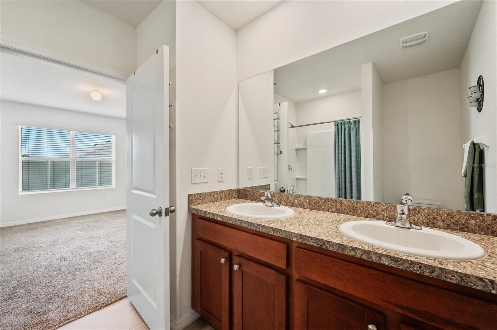 32714 BROOKS HAWK LN, WESLEY CHAPEL, FL, 33543