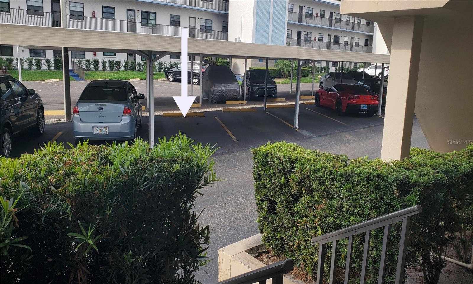 5967 TERRACE PARK DR N #101, ST PETERSBURG, FL, 33709