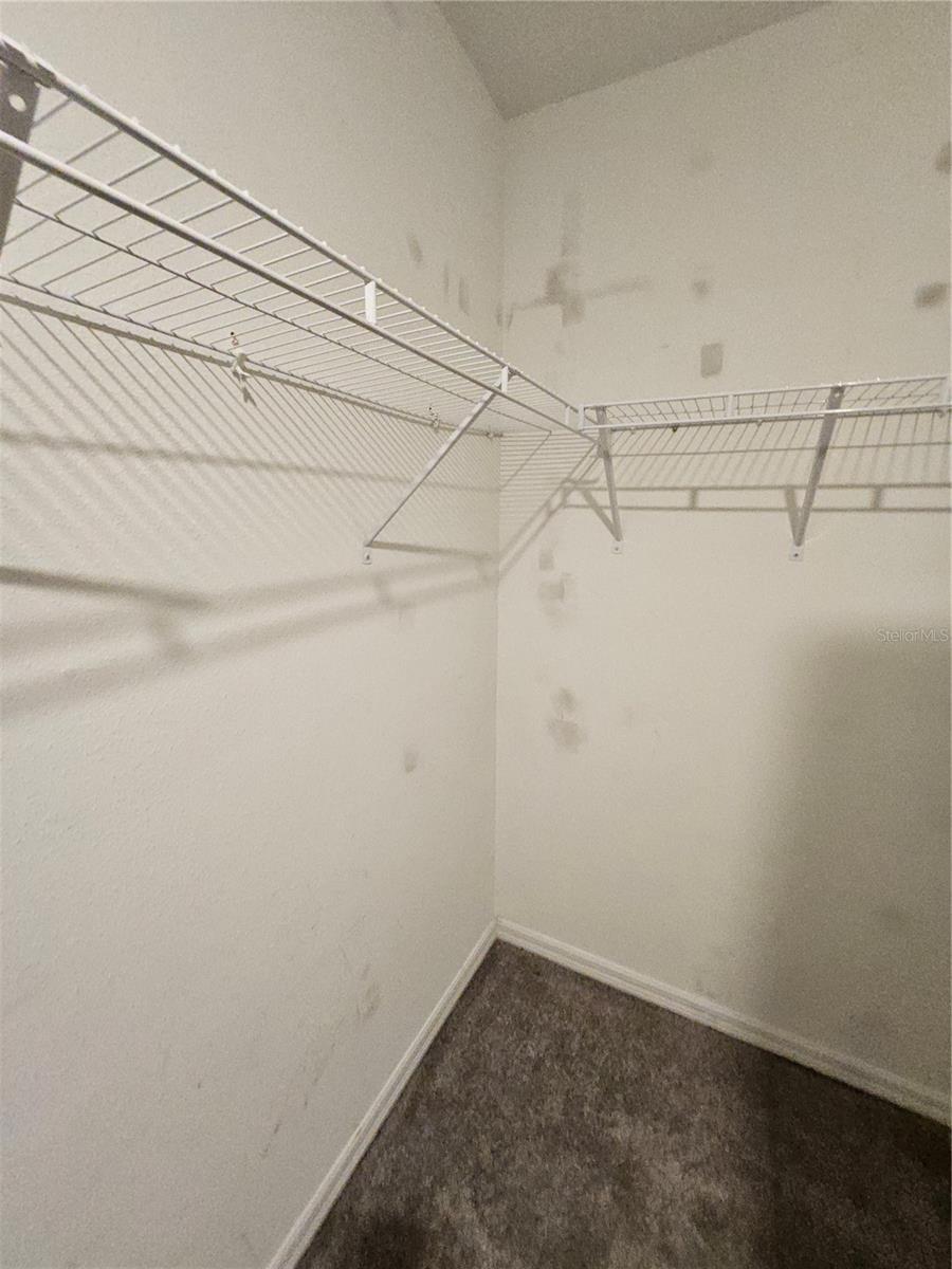 7511 SAMUEL IVY DR, TAMPA, FL, 33619