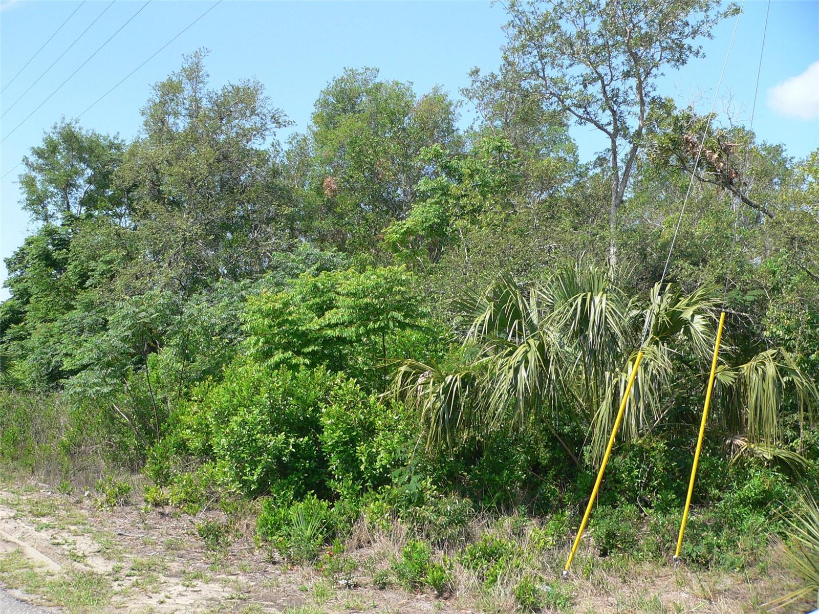 11407 LINDEN DR, SPRING HILL, FL, 34608