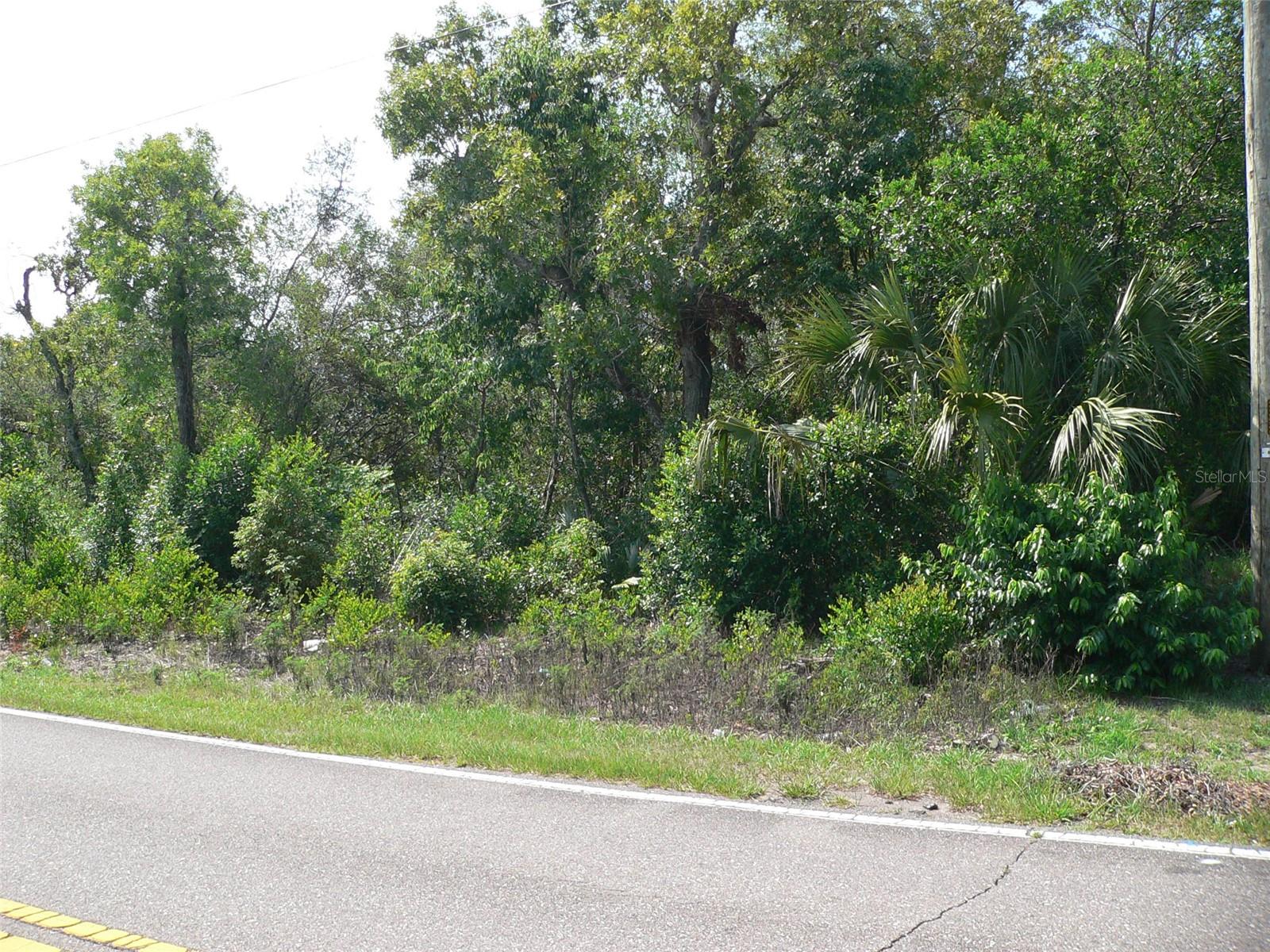 11407 LINDEN DR, SPRING HILL, FL, 34608