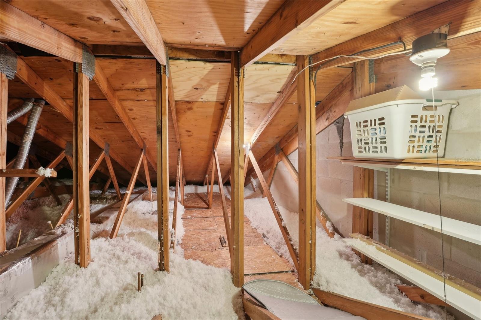 3505 TARPON WOODS BLVD #K409, PALM HARBOR, FL, 34685