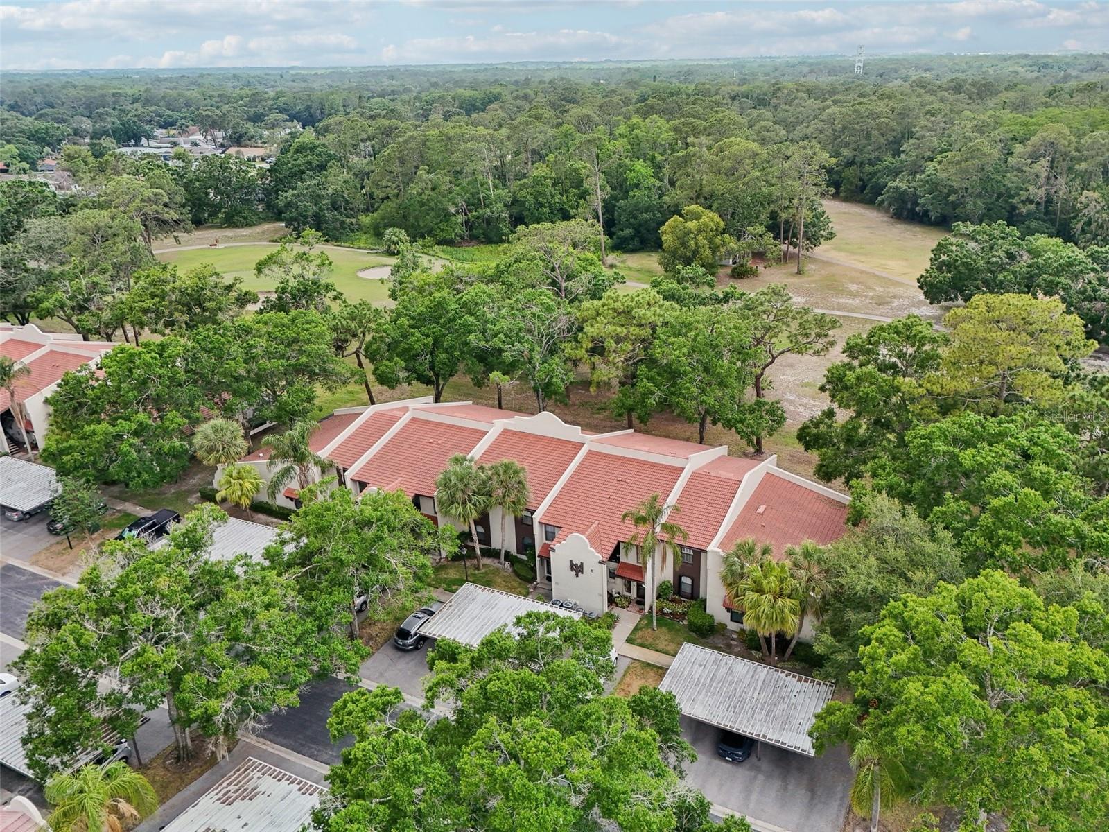 3505 TARPON WOODS BLVD #K409, PALM HARBOR, FL, 34685