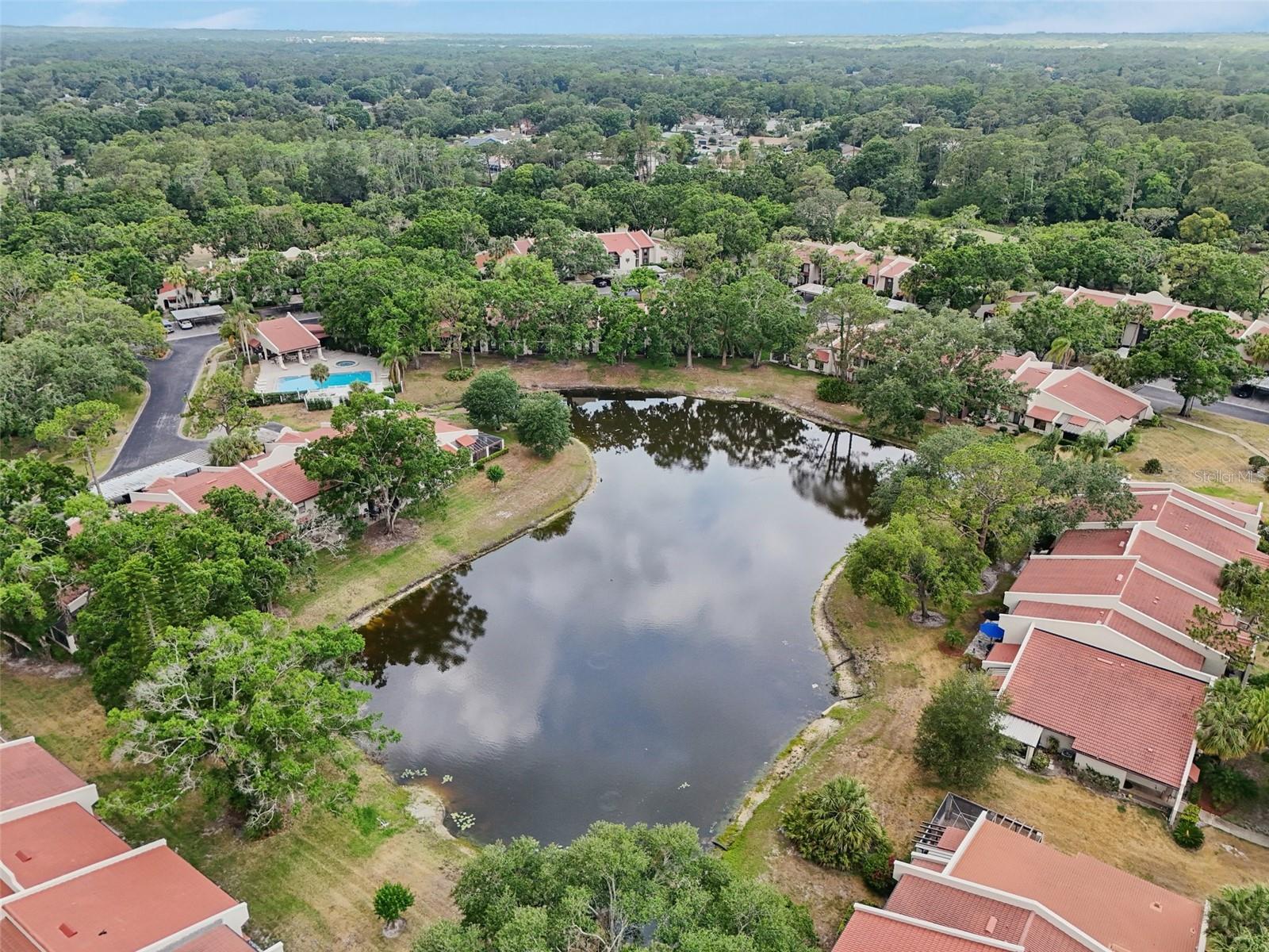 3505 TARPON WOODS BLVD #K409, PALM HARBOR, FL, 34685