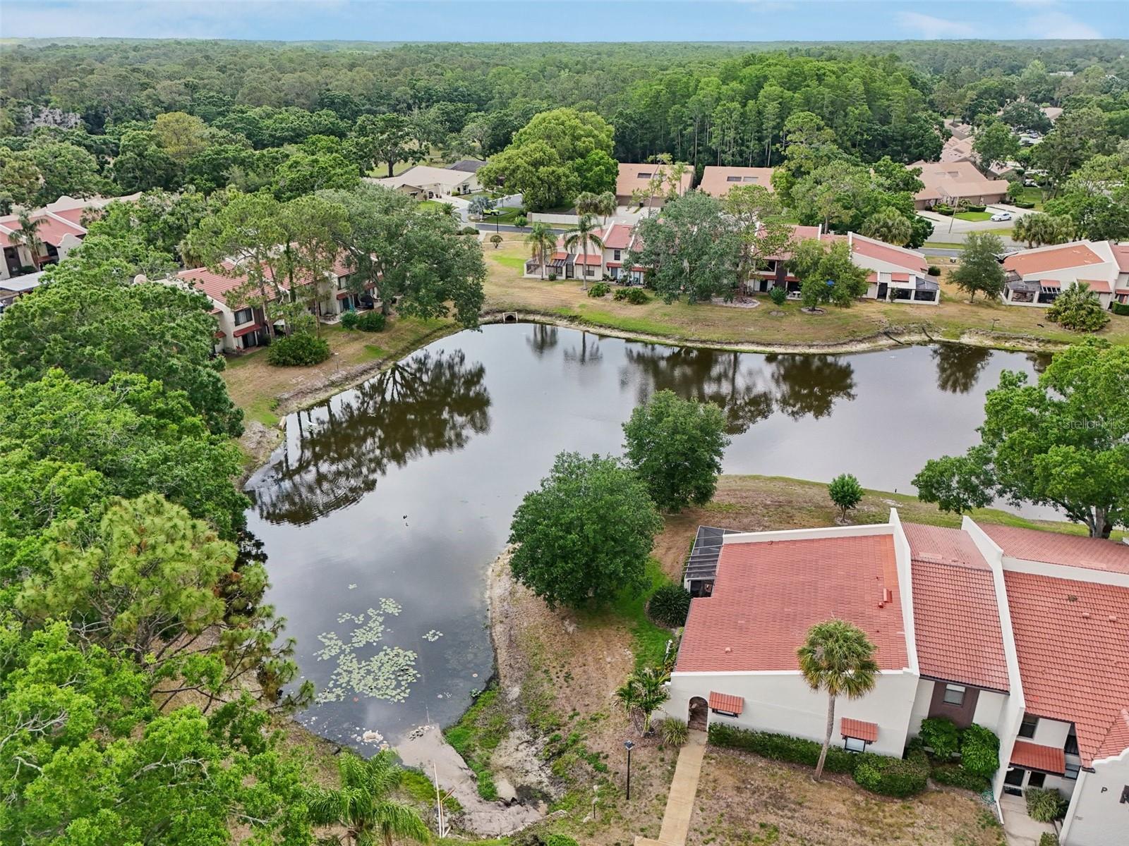 3505 TARPON WOODS BLVD #K409, PALM HARBOR, FL, 34685