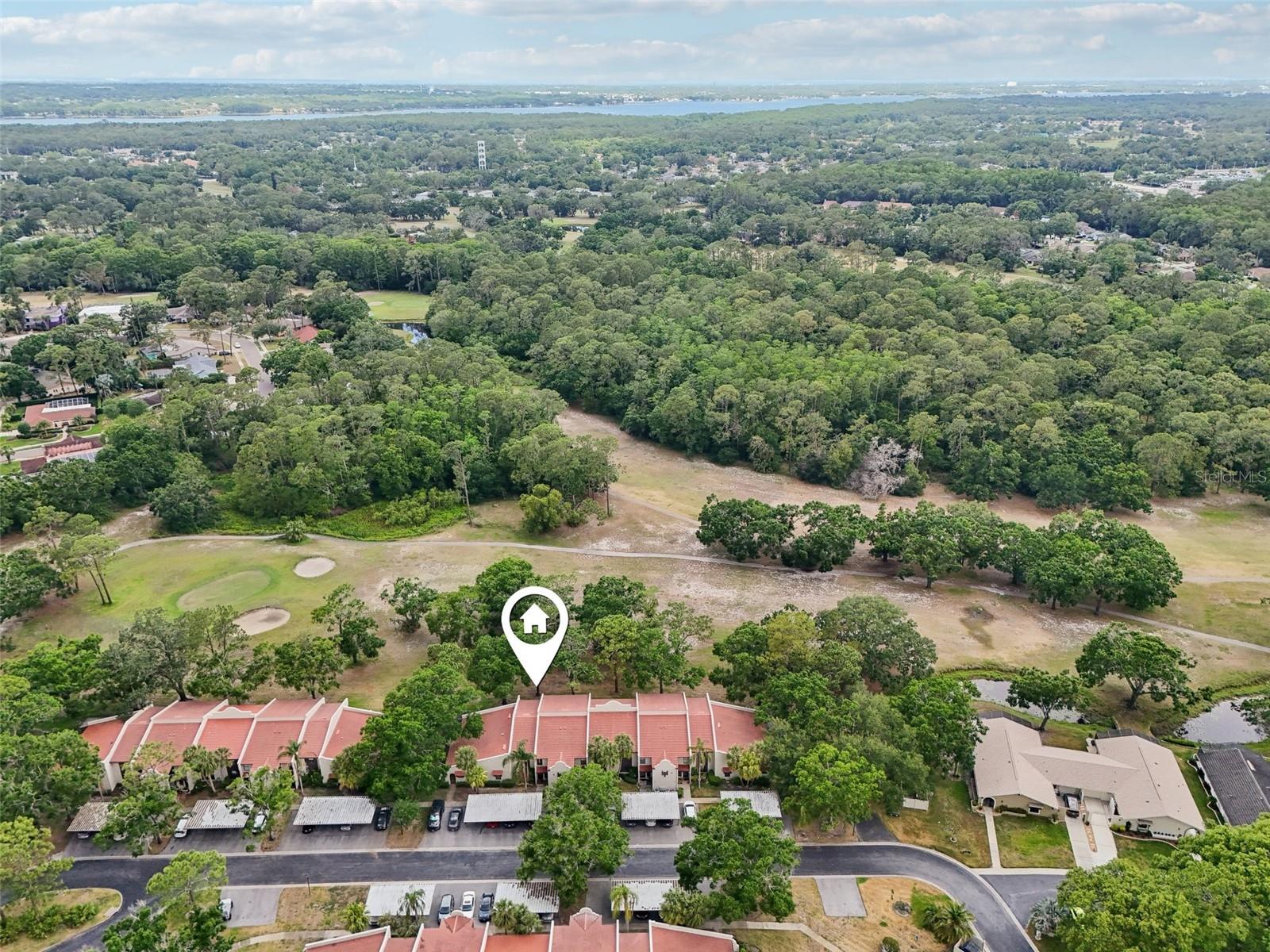 3505 TARPON WOODS BLVD #K409, PALM HARBOR, FL, 34685