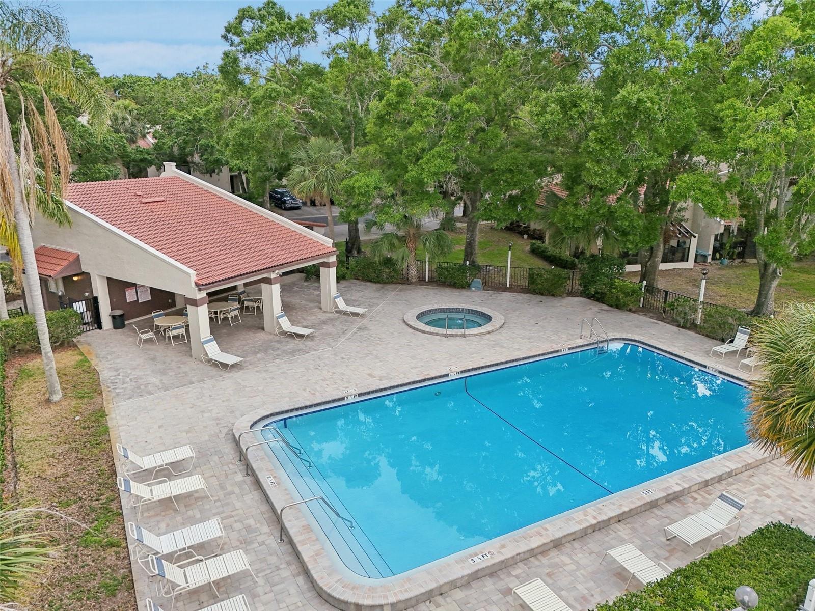3505 TARPON WOODS BLVD #K409, PALM HARBOR, FL, 34685