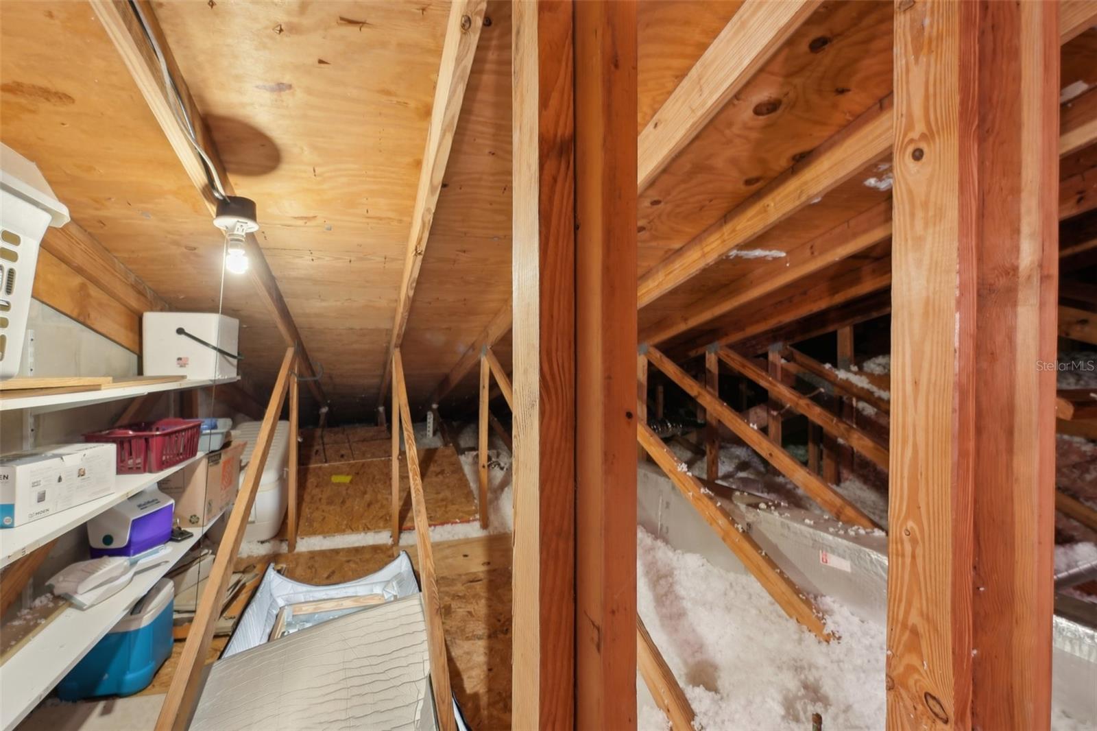 3505 TARPON WOODS BLVD #K409, PALM HARBOR, FL, 34685