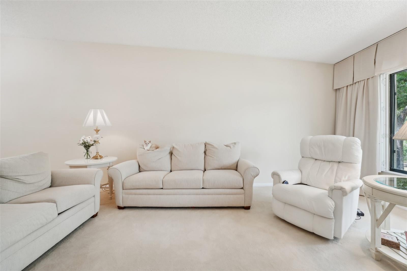 3505 TARPON WOODS BLVD #K409, PALM HARBOR, FL, 34685