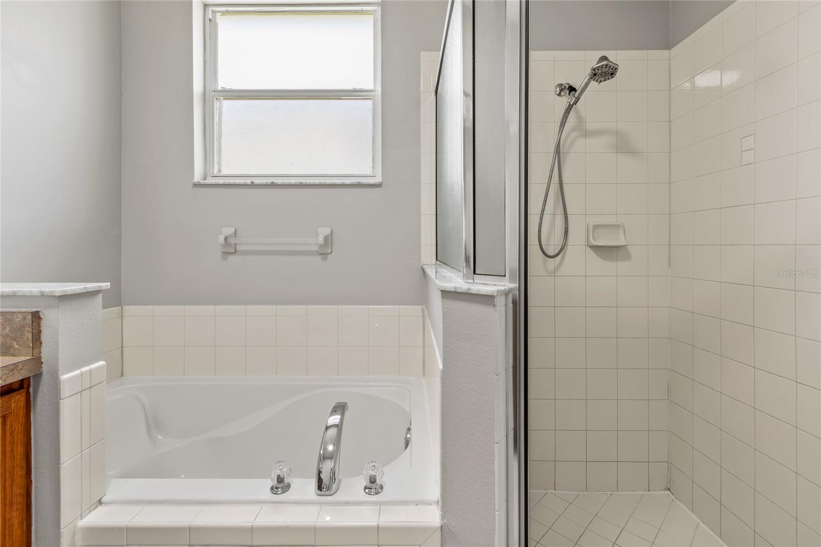 2709 SAVANNAH DR, LEESBURG, FL, 34748