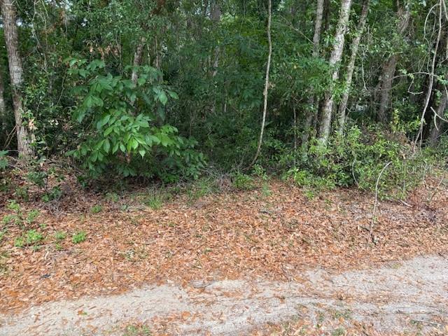 0 SE 63 AVE, SUMMERFIELD, FL, 34491